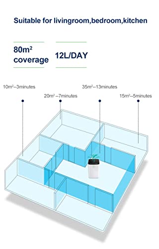 Hometronix 12L Luftentfeuchter zur Schimmel- und Feuchtigkeitsbeseitigung
